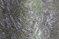 Dailly fibreglass roof work